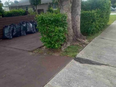 Leaf Removal service in Coral Springs, 33065