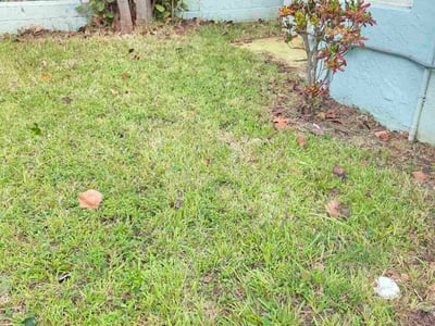 Leaf Removal service in Coral Springs, 33065
