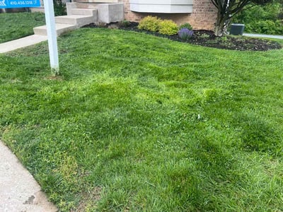 Lawn Care service in Havre De Grace, 21078