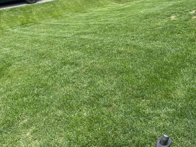 Lawn Care service in Severn, 21144