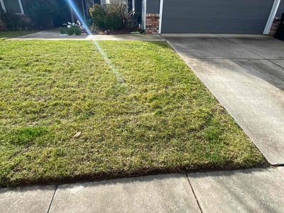Lawn Care service in Antelope, 95843