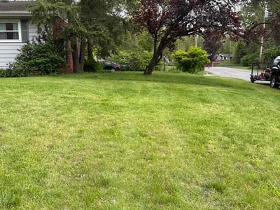 Lawn Care service in Portage, 46368