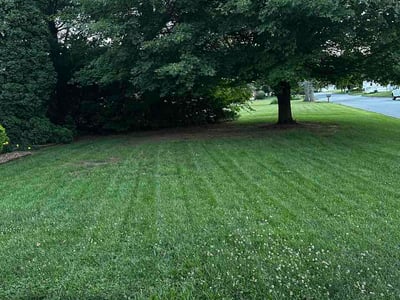 Lawn Care service in Valparaiso, 46383