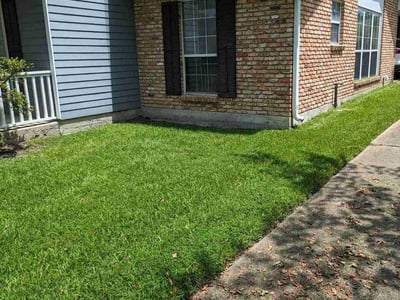 Lawn Care service in Walker, 70785