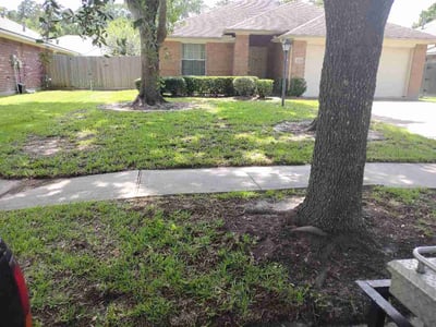 Lawn Care service in Palmdale, 93550