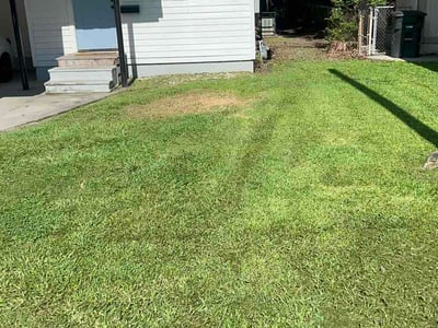 Lawn Care service in Port Allen, 70767