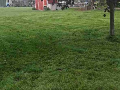 Lawn Care service in Geneva, 60134