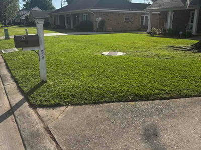 Lawn Care service in Kenner, 70062