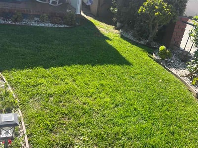 Lawn Care service in Long Beach, 90802