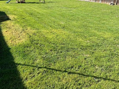 Lawn Care service in South Gate, 90280
