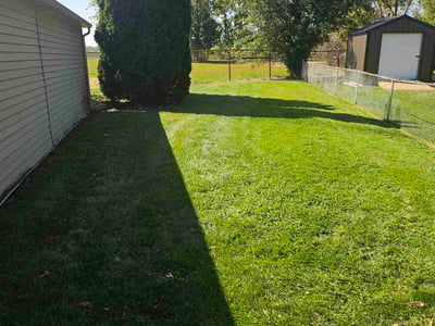 Lawn Care service in Lincoln Park, 48146