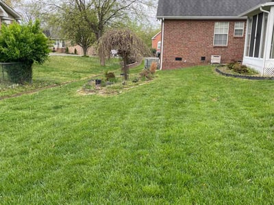 Lawn Care service in Hendersonville, 37075