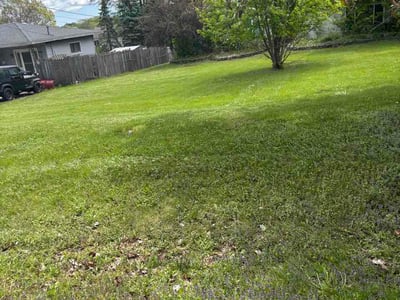 Lawn Care service in Evergreen Park, 60805