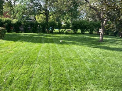 Lawn Care service in Palatine, 60074