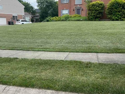 Lawn Care service in Mason, 45040