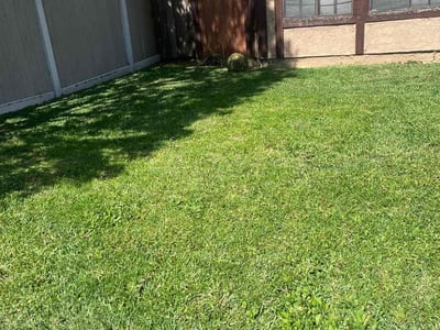 Lawn Care service in Arcadia, 91007