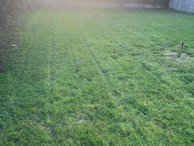 Lawn Care service in Lancaster, 93534