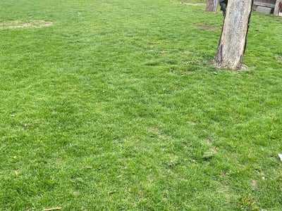 Lawn Care service in El Centro, 92243