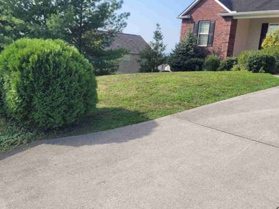 Lawn Care service in Harriman, 37748