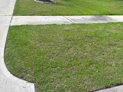 Lawn Care service in Tempe, 85281