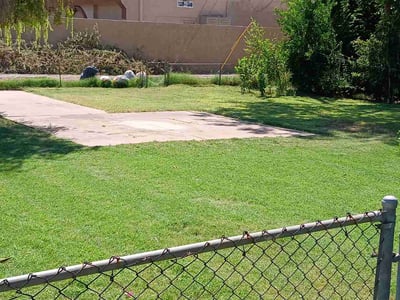 Lawn Care service in Tempe, 85281