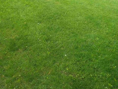 Lawn Care service in Tinley Park, 60477