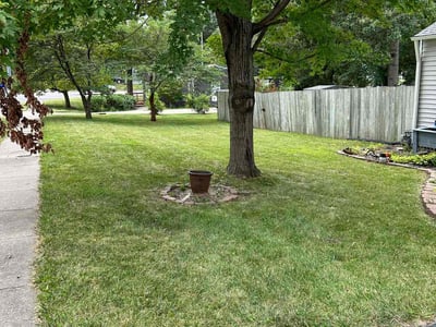 Lawn Care service in Napa, 94559