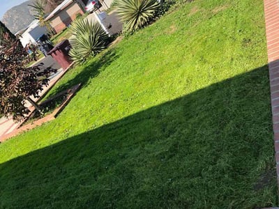 Lawn Care service in Inland Empire, 92262