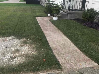 Lawn Care service in Arlington, 38002