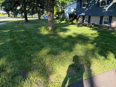 Lawn Care service in Bridgeton, 08302