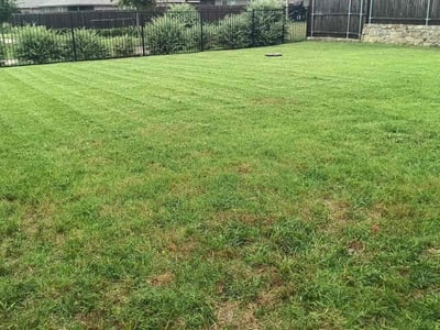Lawn Care service in Green Valley, 85614