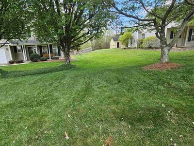 Lawn Care service in Jamestown, 27282