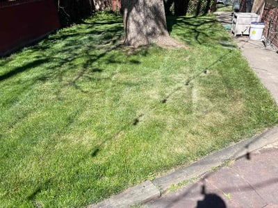 Lawn Care service in Tuscon, 85705