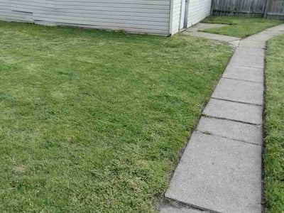 Lawn Care service in Dolton, 60419