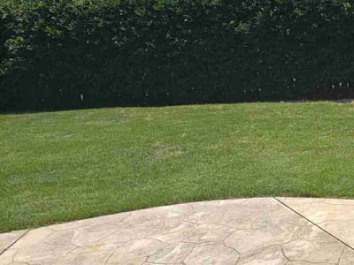 Lawn Care service in Laurens, 29360