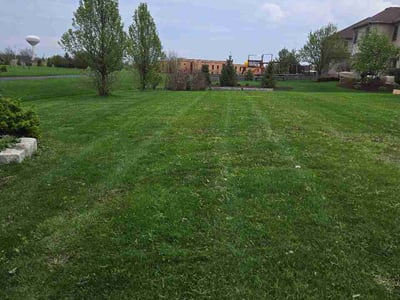 Lawn Care service in Lake In The Hills, 60156