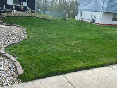 Lawn Care service in Montgomery, 60538
