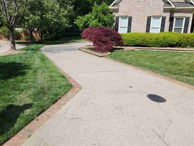 Lawn Care service in Reidsville, 27320