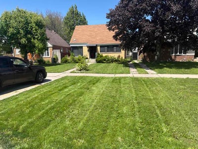 Lawn Care service in Calumet City, 60409