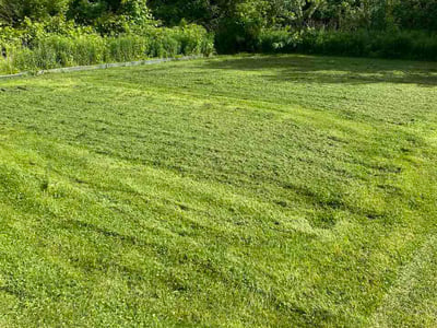 Lawn Care service in Eau Claire, 54701