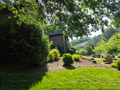 Lawn Care service in Waxhaw, 28173