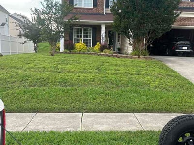 Lawn Care service in Lake Wylie, 29710