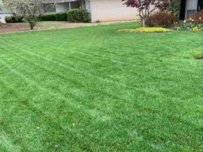 Lawn Care service in Clyde, 28721