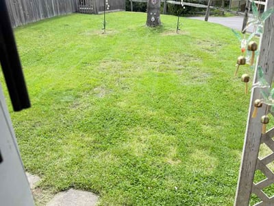 Lawn Care service in Nanticoke, 18634