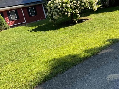 Lawn Care service in Westerly, 02891
