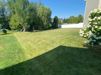 Lawn Care service in Camillus, 13031