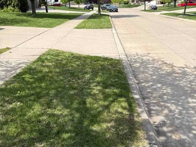 Lawn Care service in Waterloo, 50701