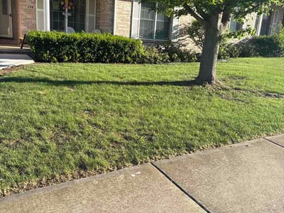 Lawn Care service in Bloomington, 61701