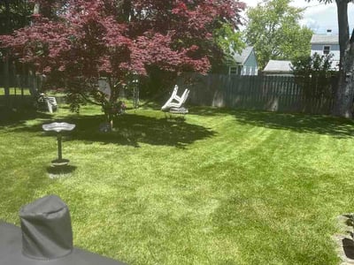 Lawn Care service in Tonawanda, 14150