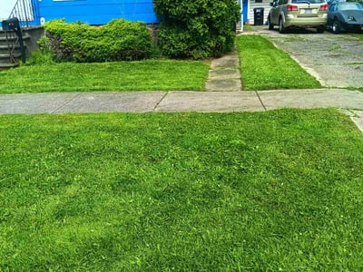 Lawn Care service in Tonawanda, 14150
